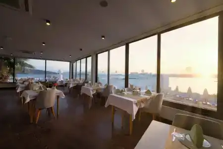 Senses - 25