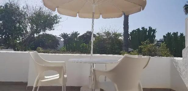 Palmeras Garden - 210