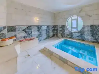 Afyon Dundar Thermal Villa - 29