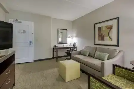 Hilton Garden Inn Southpoint - 3
