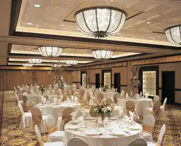 The Stephen f Austin Royal Sonesta - 5