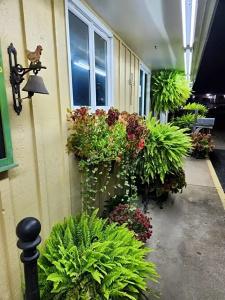 Homestead - 42