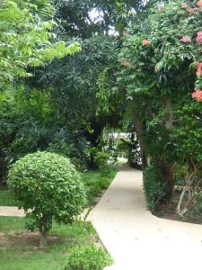 Samui Beach Resort - 5