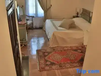 La Collegiata - 89
