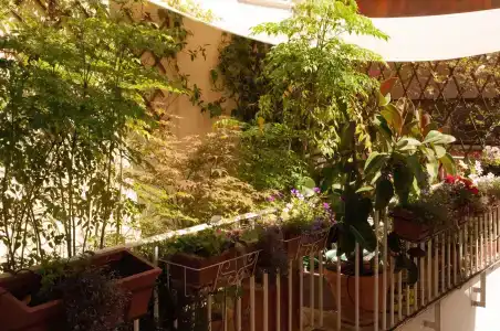Relais Teatro Argentina - 9
