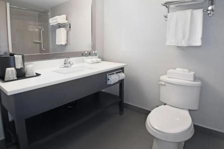 Holiday Inn Express and Suites, an IHG - 86