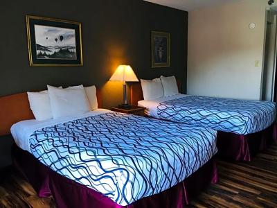 Bear Mount Inn & Suites - 14