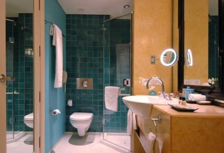 Jai Mahal Palace - 71