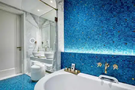 Matild Palace, a Luxury Collection - 66