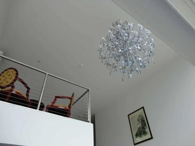 Areca - 6