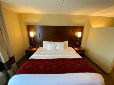 Comfort Suites North - 75
