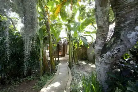 Eco Resort Chiang Mai - 26