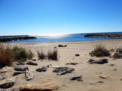 Les Palmiers En Camargue - 24