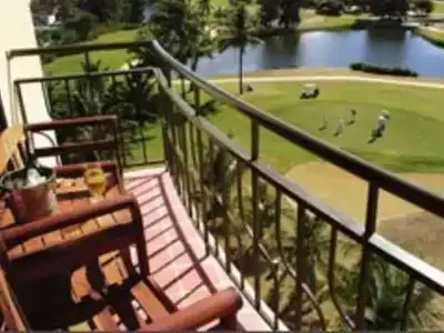 The Palm - 15