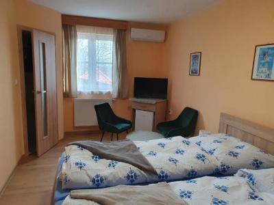 Pension Zelený strom - 19
