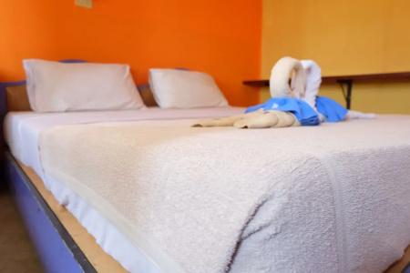b&b House & Hostel - 33