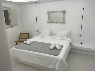 Santorini Dreams Villas - 31