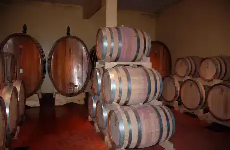 Tenuta Moriano - 11