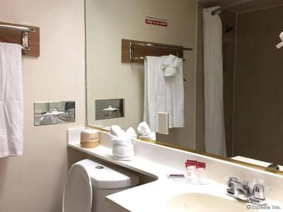Anaheim Discovery Inn and Suites - 7