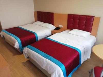 Bursa şahin - 28