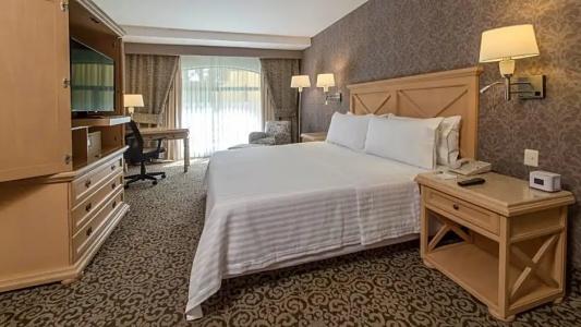 Holiday Inn Queretaro Centro Historico, An Ihg - 110