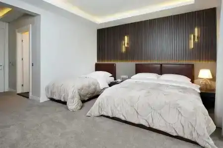Didi - 75