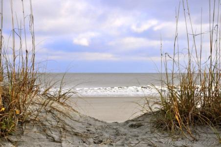 Tides - 36