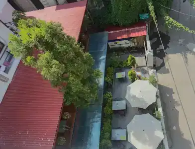Oasis - 13