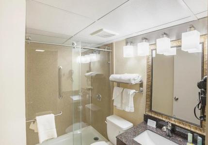 Quality Inn & Suites Downtown - 9