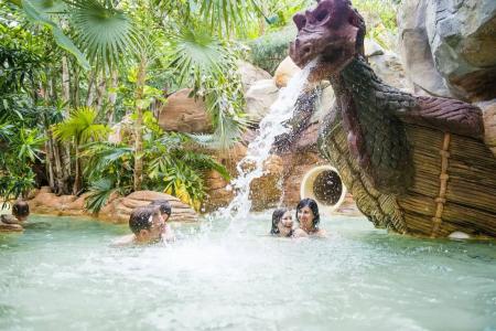 Center Parcs Bispinger Lüneburger Heide - 15