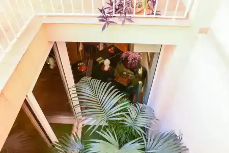 Il Cortile delle Esperidi - 68