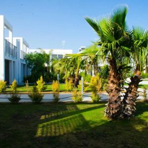 i Giardini Di Zeus - 29