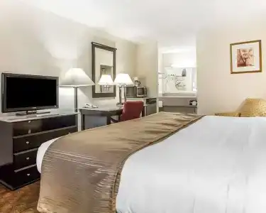 Quality Inn & Suites Coliseum - 1