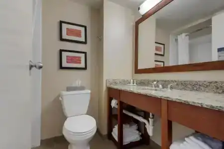 Comfort Inn The Pointe - 38