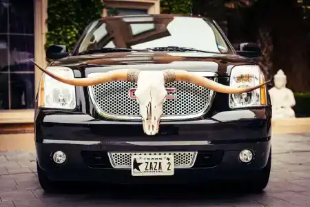 Zaza Dallas - 15