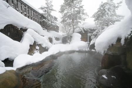 Ryokan Kutsuroginoya Yuu - 8