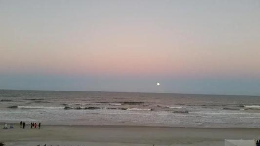 Driftwood Beach - 18