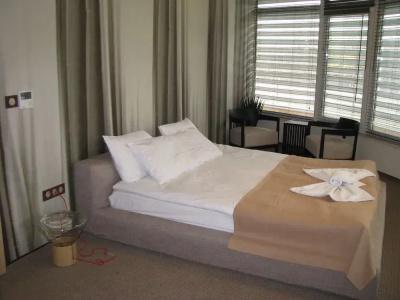 Park & Spa Boyana - 4