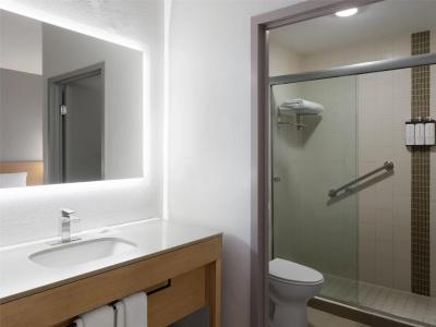 Hyatt Place Dallas Park Central - 8