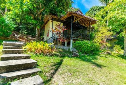 Shiralea Island Resort - 100