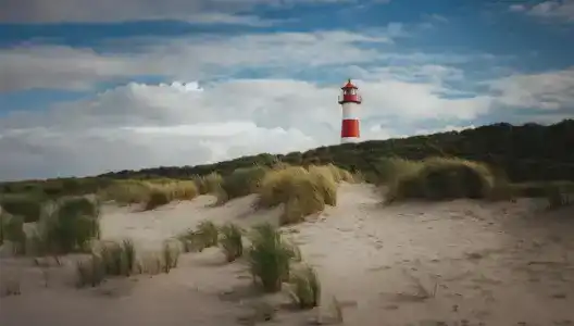 Dorint Strandresort & Spa Westerland/Sylt - 22