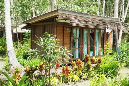 Jungle Koh - 70