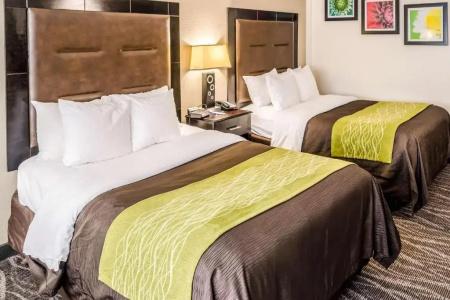 Comfort Inn Downtown Charleston - 70