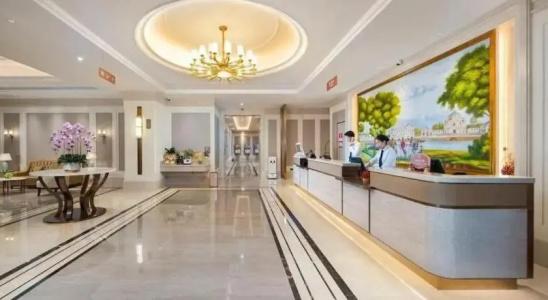 Vienna (Shenzhen Longgang Baifu City Store) - 16