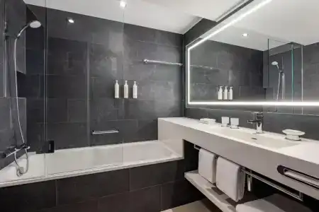 Swissotel Le Plaza Basel City - 113
