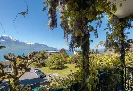 Swiss Historic Masson - 17