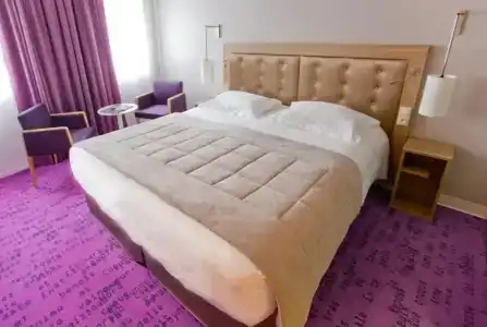 Hôtel Anne De Bretagne - 79