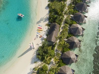Safari Island - 31