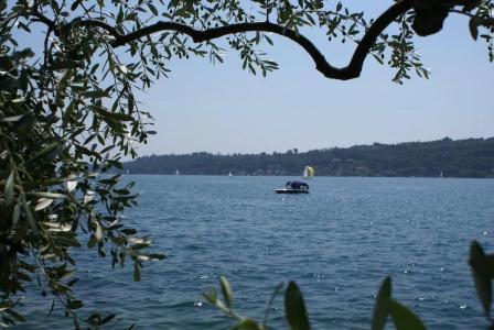 Barchi Resort - 128