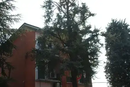 Tuscolano - 0